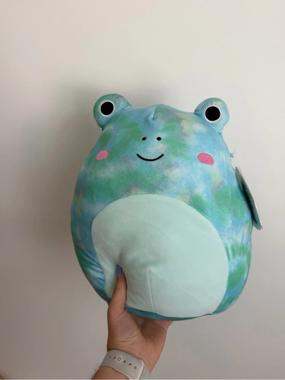 Tie-Dye Ferdie the Frog Squishmallow Plush in Aqua & Green